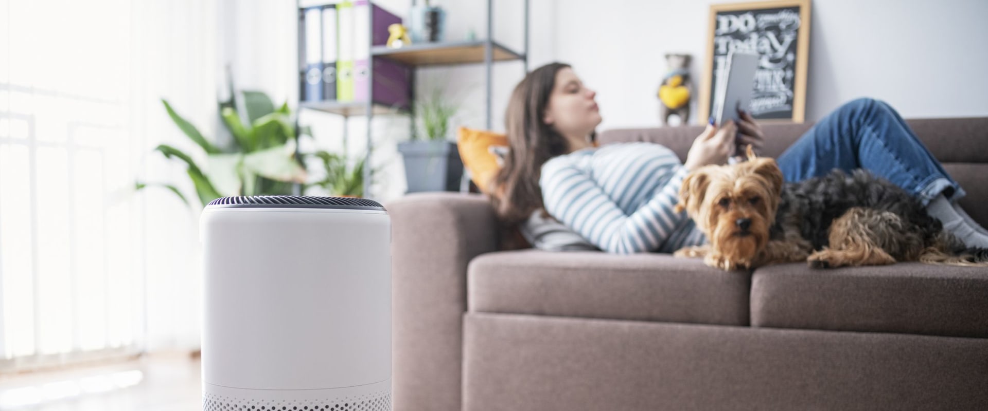 The Science of Clean Air | Understanding How House Air Filters Work